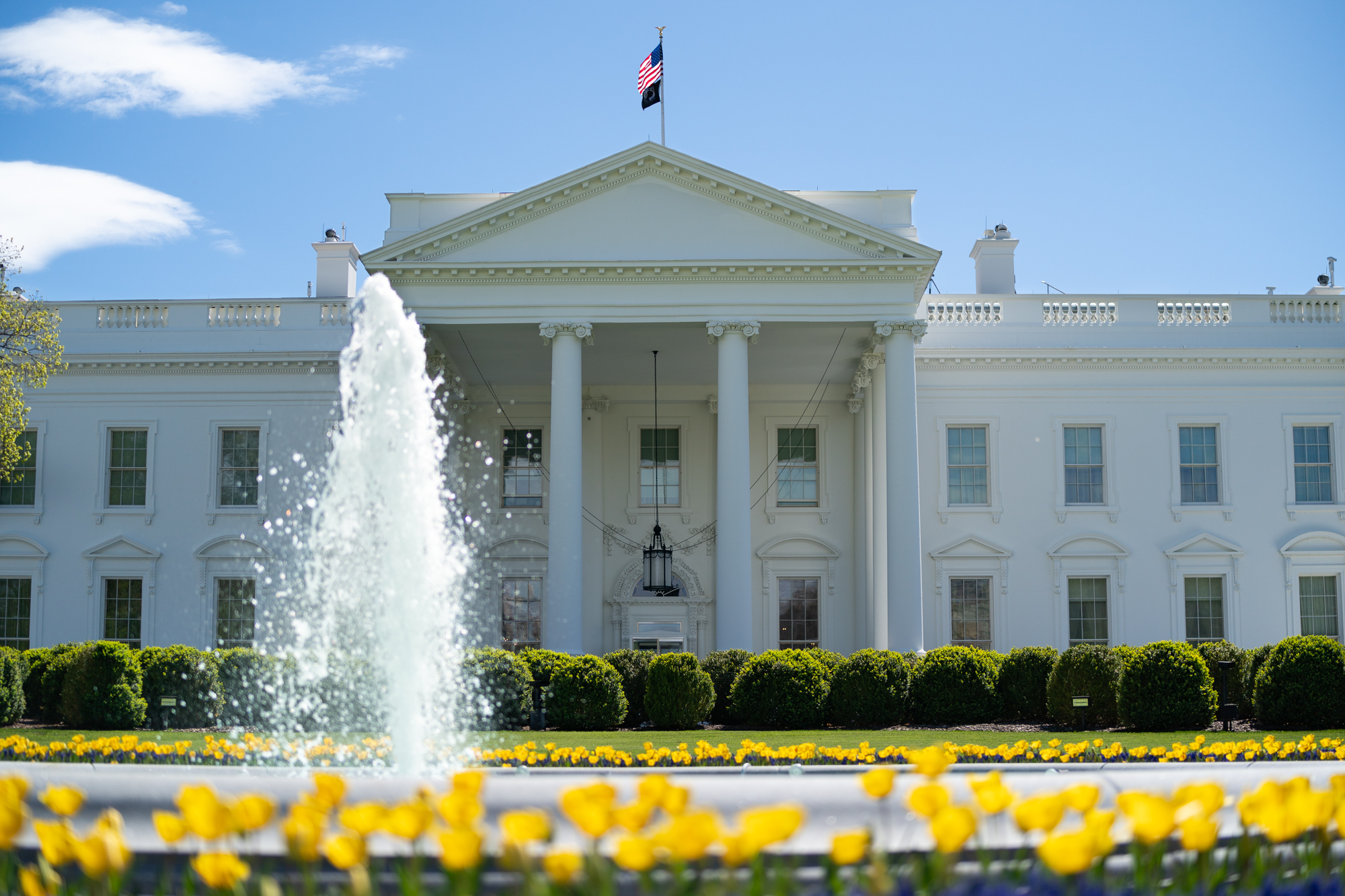 The White House